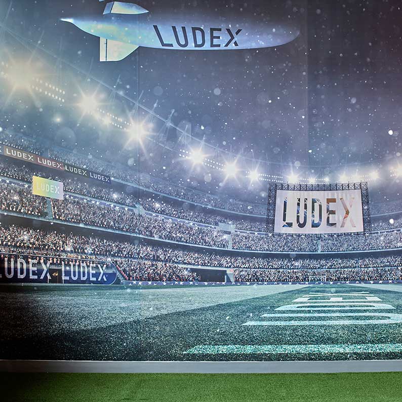 Ludex Office