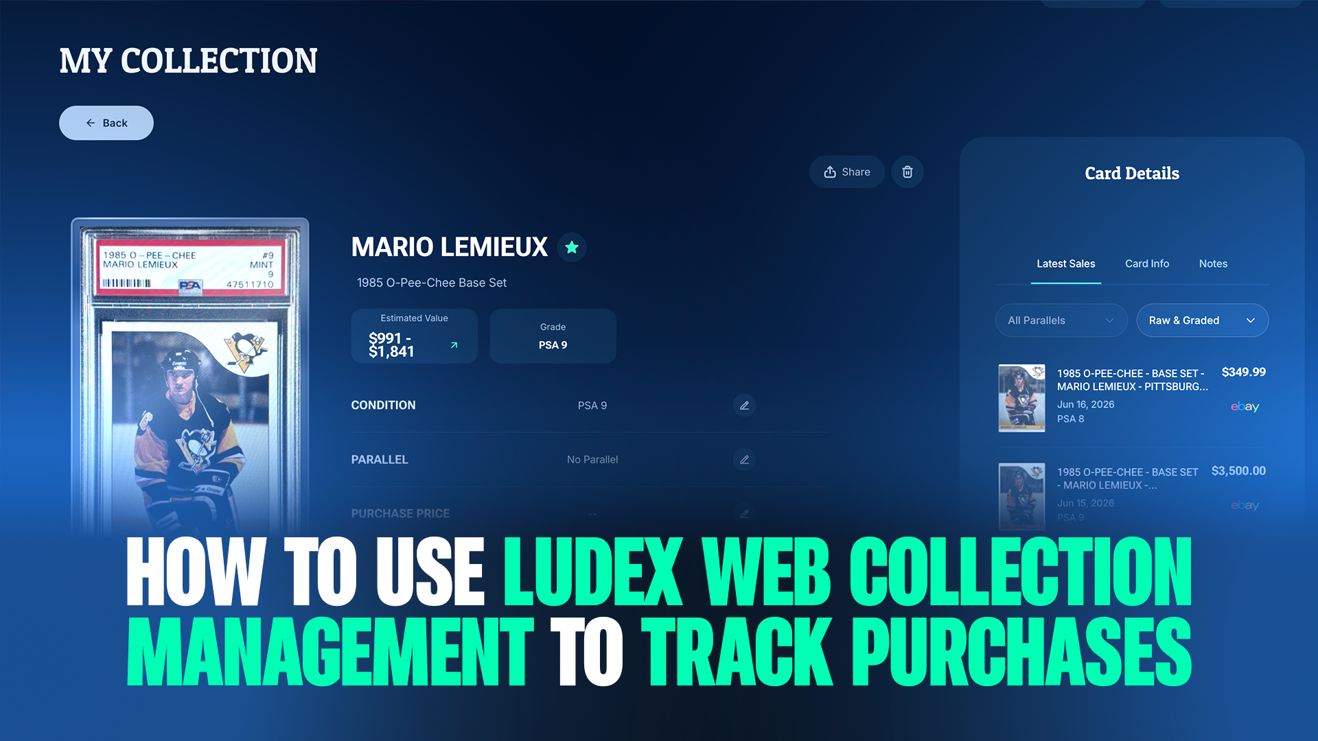 Purchase tracking with Ludex Web Collection Management